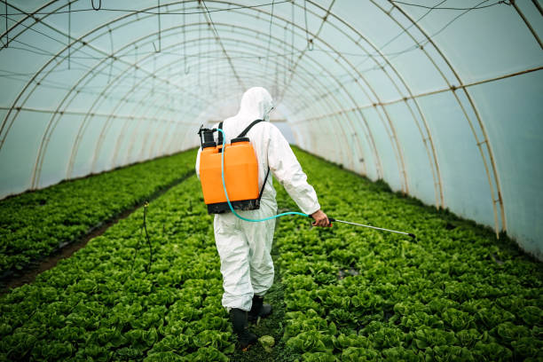 Best Pest Control for Restaurants  in Mariposa, CA