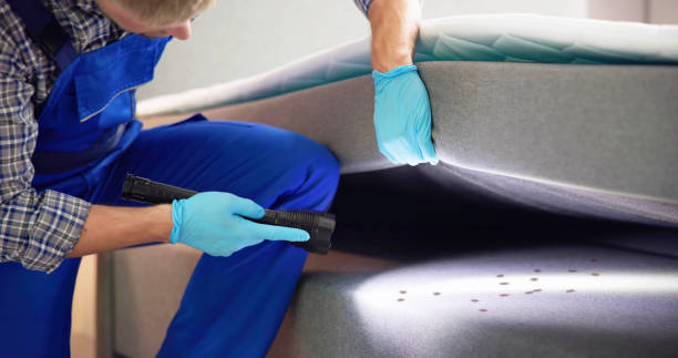 Best Termite Control Services  in Mariposa, CA