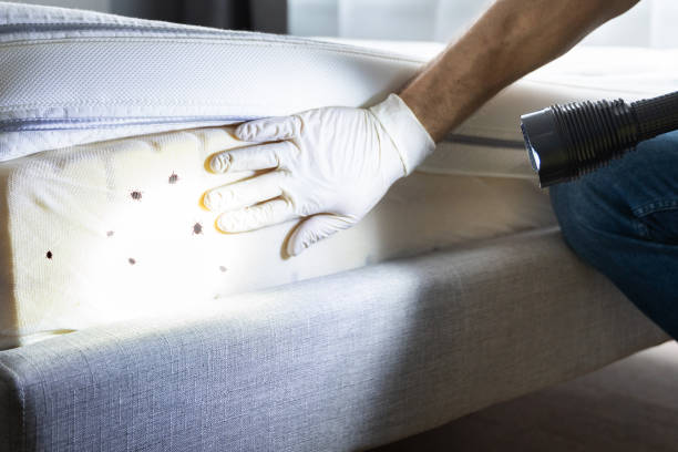 Best Pest Removal Services  in Mariposa, CA