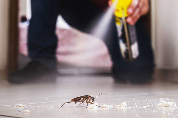 Flea Control Services in Mariposa, CA