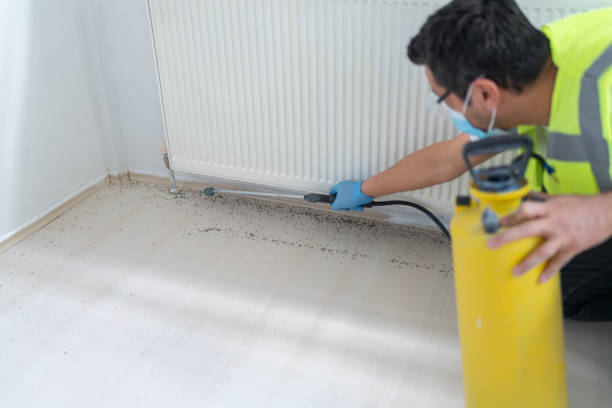 Best Emergency Pest Control  in Mariposa, CA